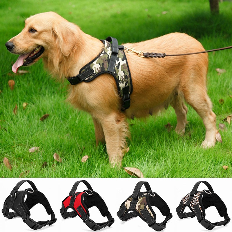 Dog Harness Collar